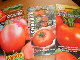 A primeira colheita de tomates - Comece com o que notas?