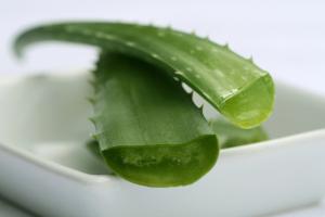 Cansado de esperar para plantas com flores pot? Algumas gotas de suco de aloe torná-los florescer como nunca antes