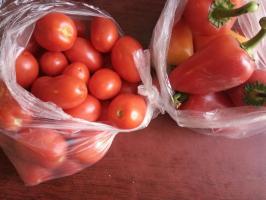 Preguiçoso aprovisionamentos de uma mistura de duas vezes em tomates. Sal, vinagre não é necessária