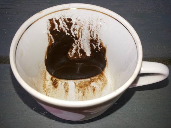 borra de café como uma forma de atrair vermes