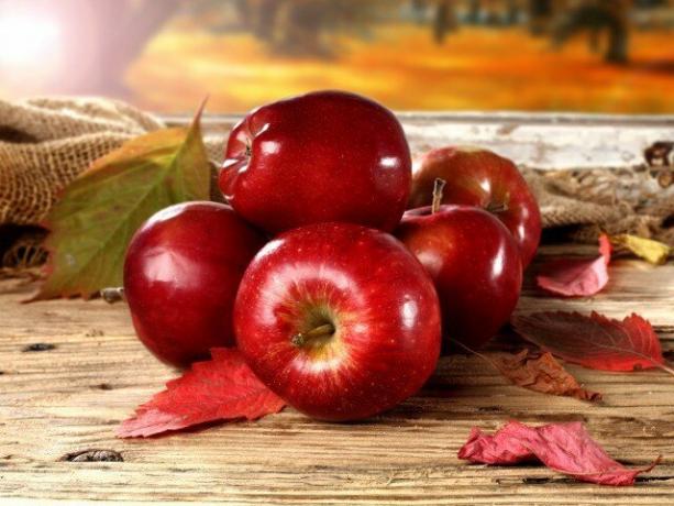 Quais são os benefícios das maçãs e eles podem prejudicar o corpo
