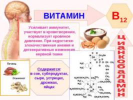 A vitamina B12 é útil e o que é para