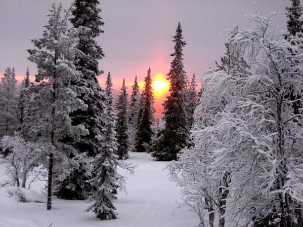 Deixe que este inverno vai ser, pelo menos em uma foto bonita. Fonte: assets.oxu.az