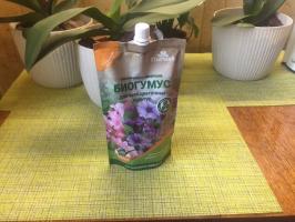 Vermicomposto para mudas e vasos de plantas: a minha nova varinha mágica