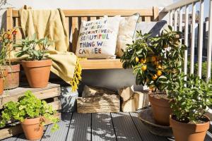 Como decorar uma varanda pequena, plantas e flores. 9 soluções úteis.