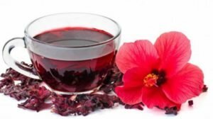 Chá de hibisco: propriedades úteis e contra-indicações como cerveja, comentários