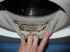 Como para remover o cheiro de mofo a partir da máquina de lavar