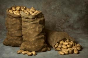 Batatas será perfeitamente armazenados no inverno. ⚡ 4 super-versão