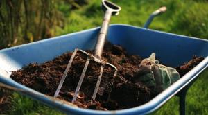 Melhorar a fertilidade do solo sem o uso de estrume.