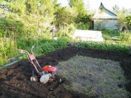 É necessário lavrar o jardim antes do inverno: como e quando para arar o terreno no direito queda