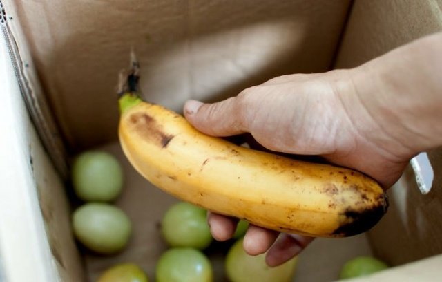 Banana cumpre perfeitamente sua função! (Ridoff.ru)