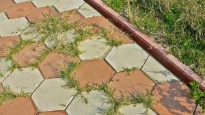 Maneiras fáceis de se livrar da grama longa no caminho do jardim entre as telhas: o efeito de um dia