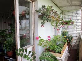 Como equipar um jardim de inverno na varanda
