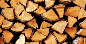 Qual a melhor madeira para aquecer o forno?