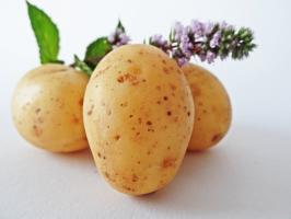 7 variedades de batata super cedo e deliciosas