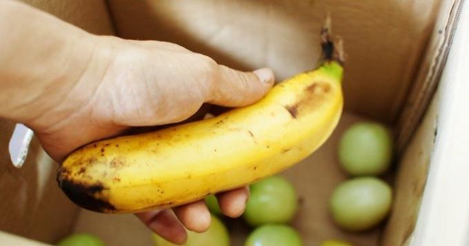 banana madura acelera o amadurecimento de tomates verdes