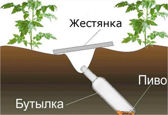local klopkan.ru esquema de design