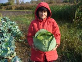 5 coisas importantes a fazer no jardim em outubro para uma rica colheita em 2019