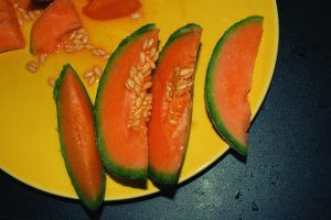 Cuidar na estufa para os melões, melancias em julho