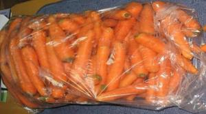 Como manter as cenouras em um saco plástico até a próxima colheita.