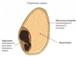 O farelo úteis para o corpo, de calorias