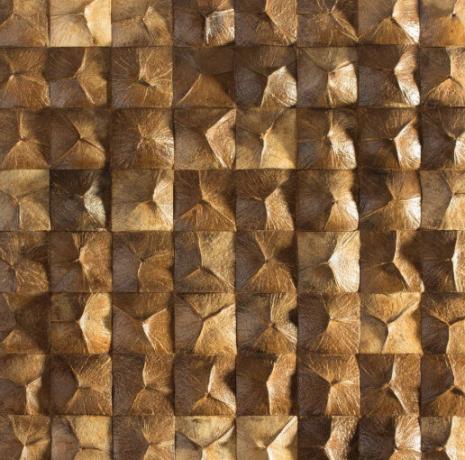 Mosaico da casca exterior de um coco, foto - lative-oboi.ru