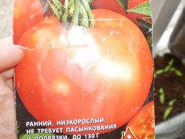 Sow maturação precoce tomates no início de abril. 7 variedades populares