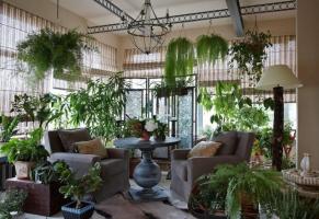 Como original e bom gosto decorar suas plantas da casa, tornando o interior dos quartos inesquecíveis. 6 idéias de design