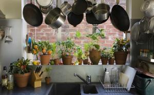 Como original e prático para adicionar plantas de interior e ervas no interior de sua cozinha. 7 dicas de design