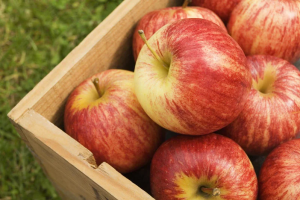 Vitaminas armazenados: o armazenamento adequado de maçãs no inverno